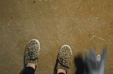 Like a shark in the water