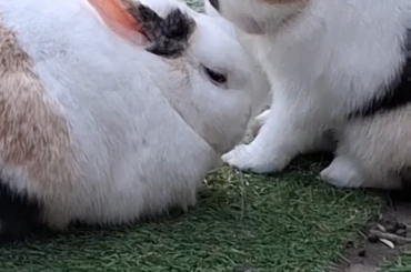 Would u wash me sis? i'll give it a try! bleeghh, continue washing myself!