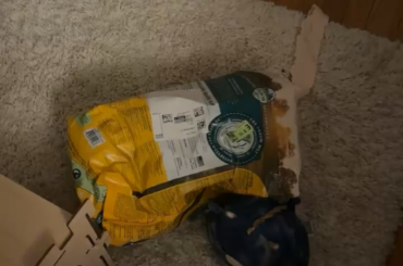 i thought he was gone