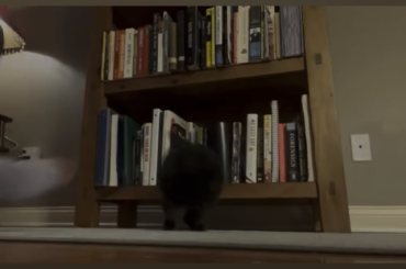 His life, his house, HIS terms!