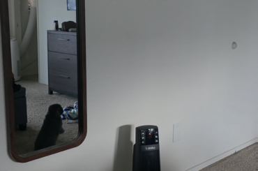 She bink, then boink