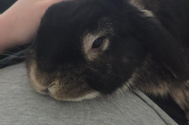 Sprawled out snuggles <3