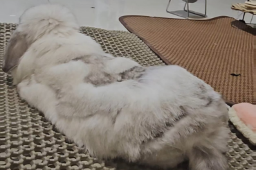 When the intrusive thoughts win.