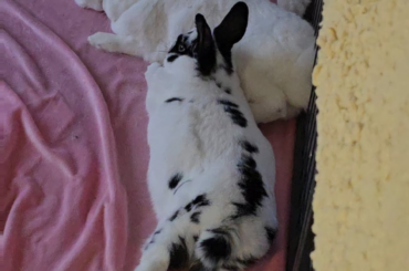 They feel very safe together ❤️