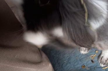 Yeah... I don't like my trousers either 💔