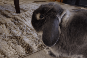 bro is just so aggressively friend-shaped ❤️