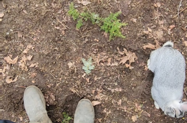 Introduction in neutral territory