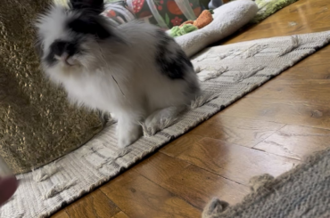 Some pretty big oversights..