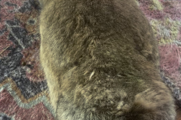 Let the intrusive thoughts win. Grab the booty