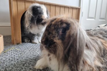 In Between - A gentle poem of reflection on loss