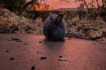 It's his debut as a model, be nice!