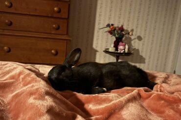 what i wake up to every morning <3