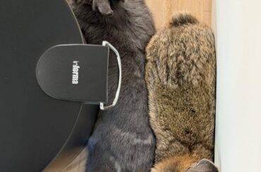 of all possible places in the house….