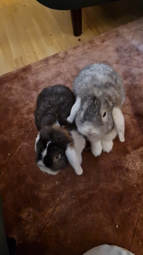 They’re so smart😌