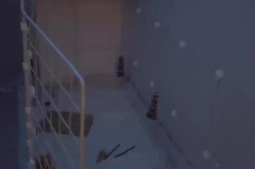 Is this enough space for nighttime? Getting my bunny tomorrow 🐰