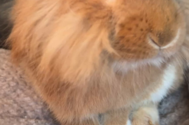 Spikey hair, don’t care