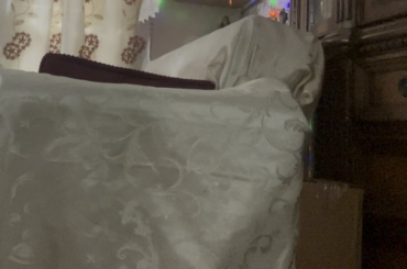 There’s no such thing as fully bunny proof