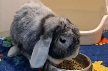 Excuse me miss, you just ate 5 minutes ago