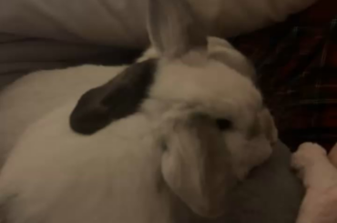 Am I doing something wrong?