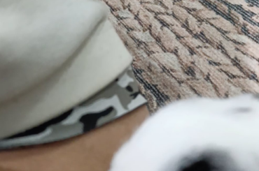 Tickle Attack! 🫣💀