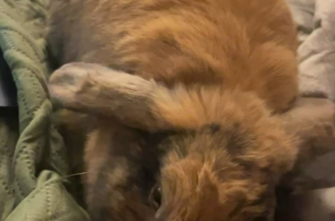 Guys does she hate me?? [Joke]