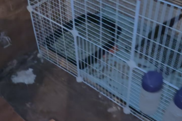 How to keep him warm