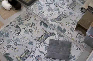 Binky from lying down position