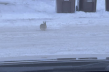 The Crown Prince Returns