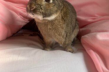 It’s giving cutie pie