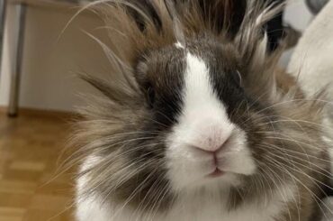 i love my baby so so much