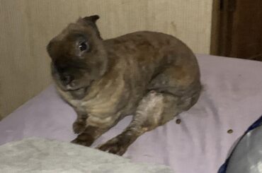 My little man Felix showing his little leggy.