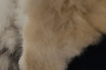 How to clean this up?