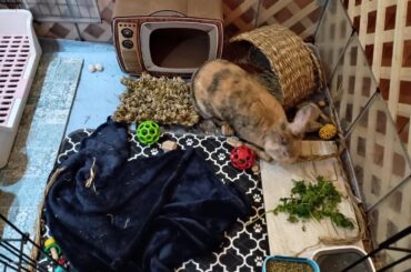 Remodeled to a combined enclosure