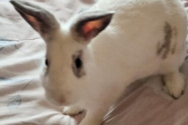 Shame him (swipe right for his crime)