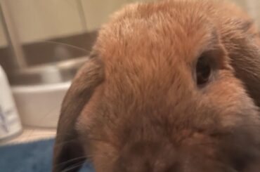 Im new here so im say hi to all