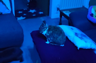 Really want a snicky snack!