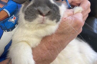 Face of hatred during nail cutting