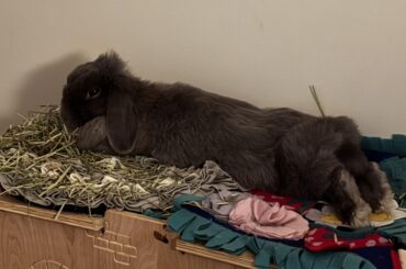 This lady loves snacking on her tunnel