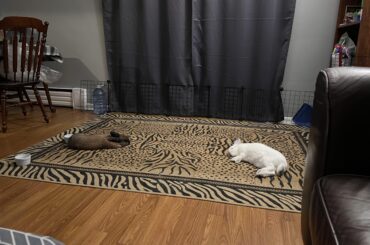 Hope everyone is safe and warm