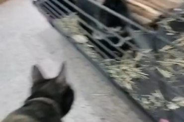 This is how I should let them know each other?