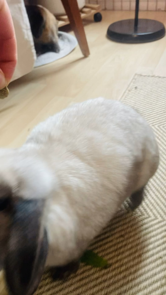 “Look at me, I aM A hUmAaAn”