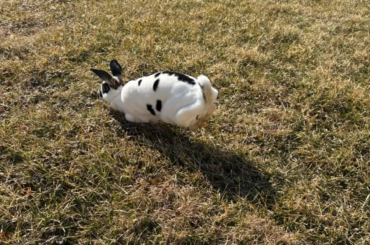 Does she appear scared?