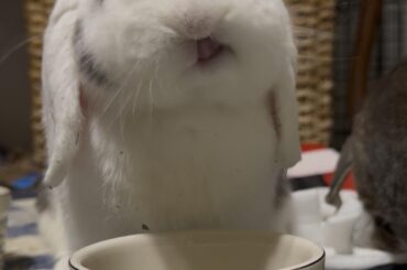 Show me your post snack faces!