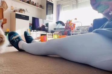 They love cookies😂🐰🐰