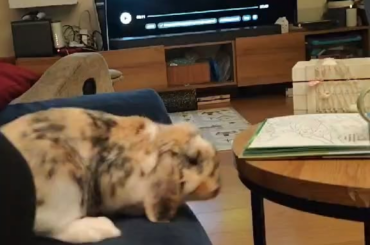 My mom sent me this video of my baby boy while im not home