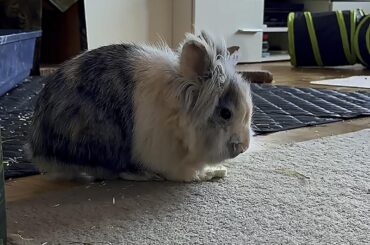 Mr. I’m taking everything away from you.