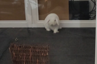 Ear infection doesn't have to take away all the fun