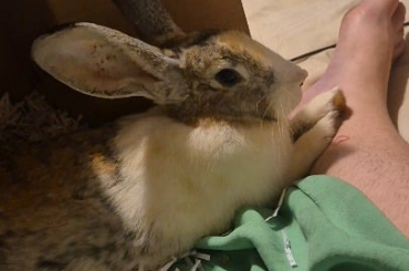 Is she shaking because she's scared?