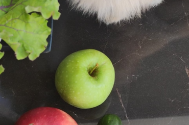 Salad time 2 times a day various