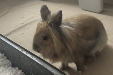 why he is so arrogant?🤣🥹